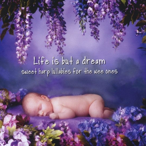 美女又黄又刺激又爽
