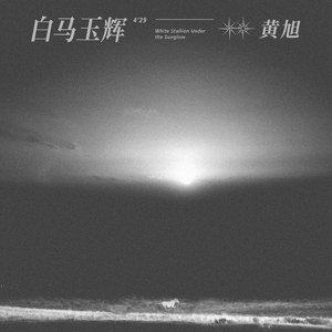 美女又黄又刺激又爽
